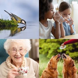 4 pics 1 word Daily puzzle January 18 2026