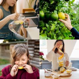 4 pics 1 word Daily puzzle January 24 2026