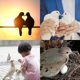 4 pics 1 word Daily puzzle February 5 2026